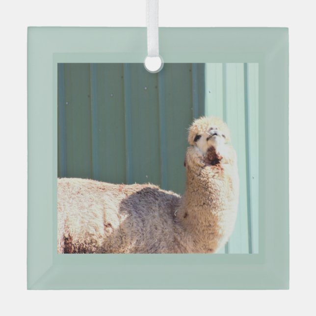 Alpaca Foto Ornament Aus Glas (Vorderseite)