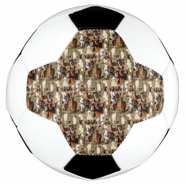 Alpaca FotoCollage, Fußball (Vorderseite)