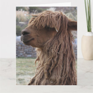 ALPACA FUNNY BIRTHDAY GREETING CARD KARTE