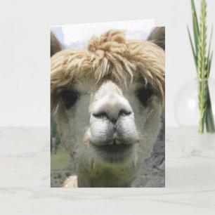 ALPACA-GLUCKWUNSCHKARTE KARTE