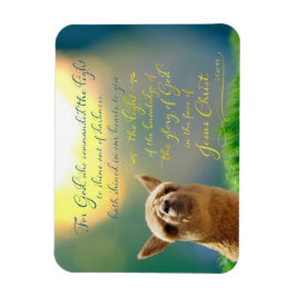 Alpaca Gold Aquamarine Bibel Verse Foto Magnet