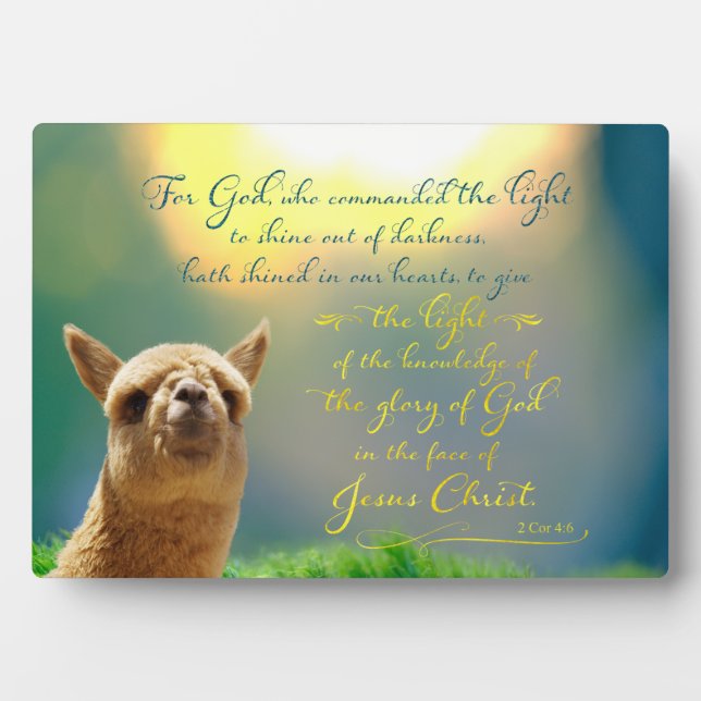 Alpaca Gold Turquoise Bible Citation Easel Plaque (Devant)