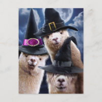 Alpaca Hexen