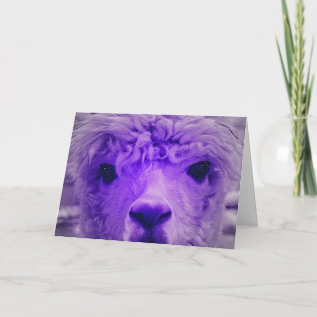 Alpaca in einer anderen Farbe Karte (Vorderseite)