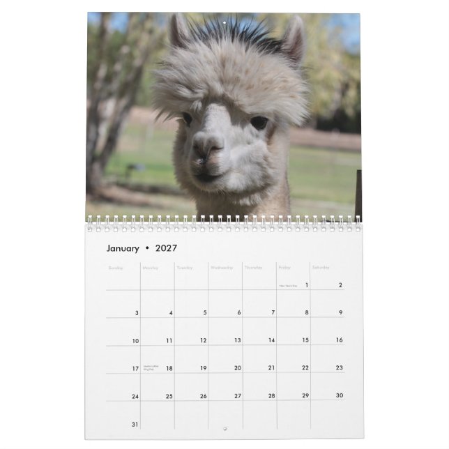 Alpaca-Kalender 2021 Kalender (Jan 2027)