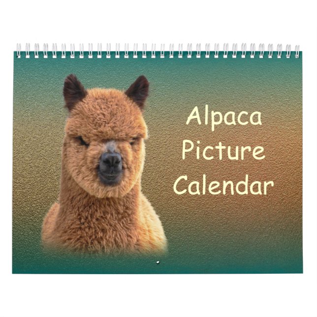 Alpaca-Kalender 2023 Kalender (Titelbild)