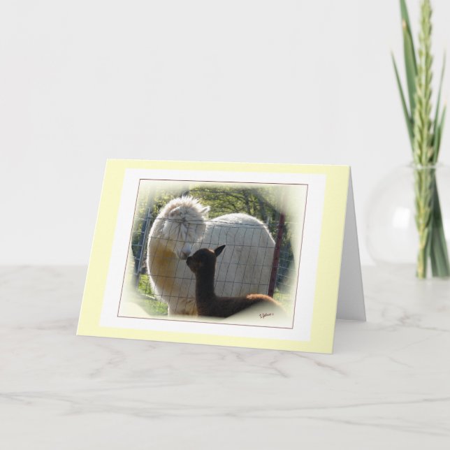 Alpaca Kisses Card Karte (Vorderseite)
