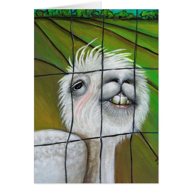 Alpaca - Kleiner Traum mit Geschichtenkarte (Vorne)