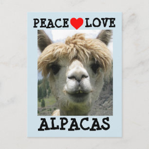 ALPACA LIEBE POSTCARDS POSTKARTE