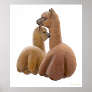 Alpaca Liebe Print Poster
