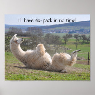 Alpaca llama amusant exercice poster de motivation