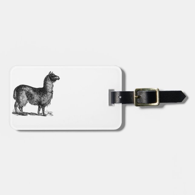 Alpaca Llama Niedlich Peru Landschaft Art Gepäckanhänger (Vorderseite horizontal)