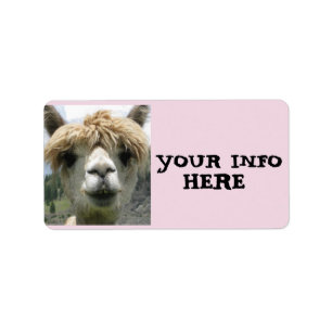 ALPACA LLAMA RÜCKSENDEADRESSEN-AUFKLEBER ADRESSAUFKLEBER