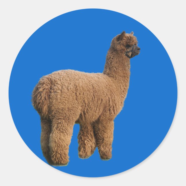 Alpaca Magic Sticker (Vorderseite)