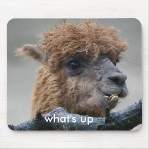 Alpaca Mousepad