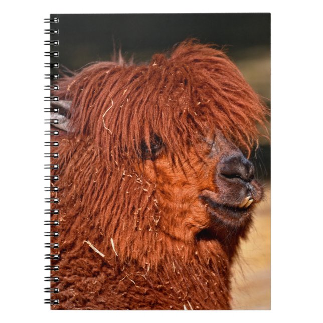Alpaca Notizblock (Vorderseite)