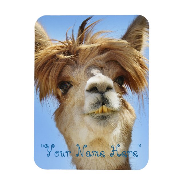 Alpaca Photo Magnet "Mets ton nom" (Vertical)