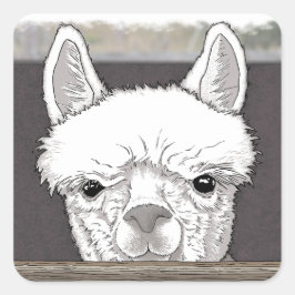 Alpaca Portrait Quadratischer Aufkleber