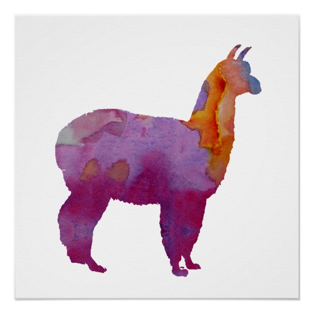 Alpaca Poster (Vorderseite)
