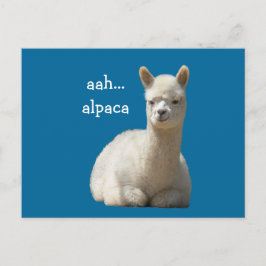 Alpaca Postkarten