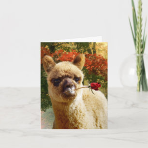 Alpaca-Rose-Mitteilungskarten Karte