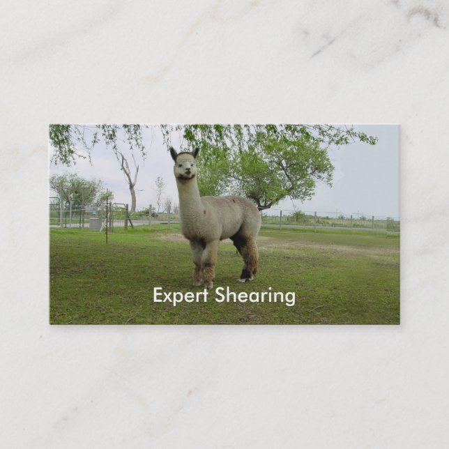 Alpaca Shear Visitenkarte (Vorderseite)