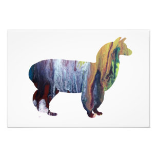 Alpaca-Silhouette Fotodruck