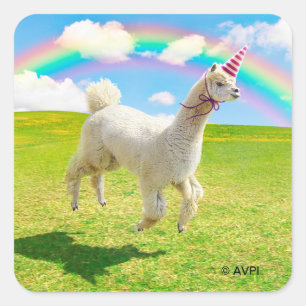 Alpaca Unicorn unter Regenbogen Himmel Quadratischer Aufkleber