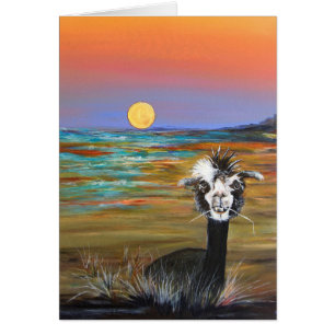 Alpaca - Vincent avec carte d'histoire