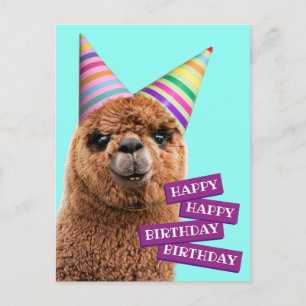 Alpaca Wear Party Hats Einladungspostkarte