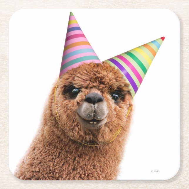 Alpaca Webereihats Party Rechteckiger Pappuntersetzer (Vorderseite)