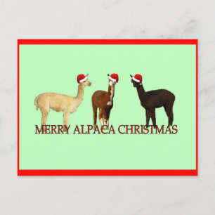 Alpaca Weihnachten
