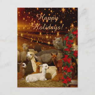 Alpaca Weihnachts Postkarten