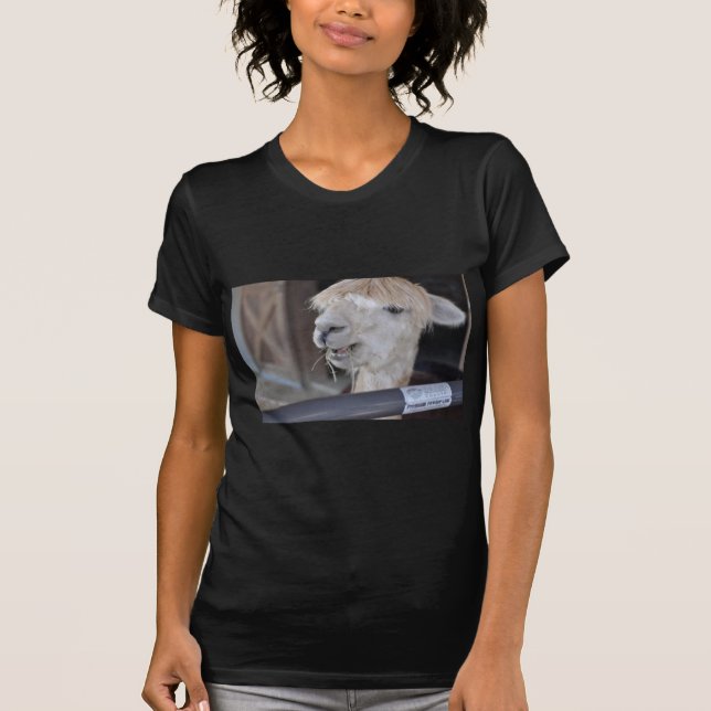 Alpaca, weiß T-Shirt (Vorderseite)