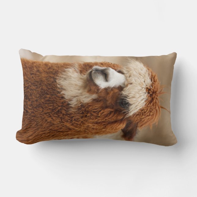Alpaca-Wurfkissen Lendenkissen (Vorderseite)