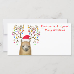 Alpaca Xmas Fotokarte Feiertagskarte
