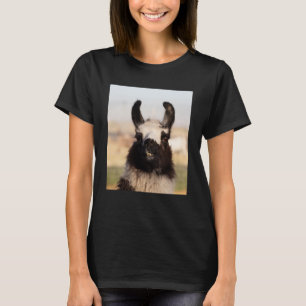 Alpaca zeigt Niedliches und Gesicht Tier T-Shirt
