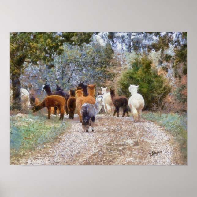 Alpacas Digital Painting Print Poster (Vorne)
