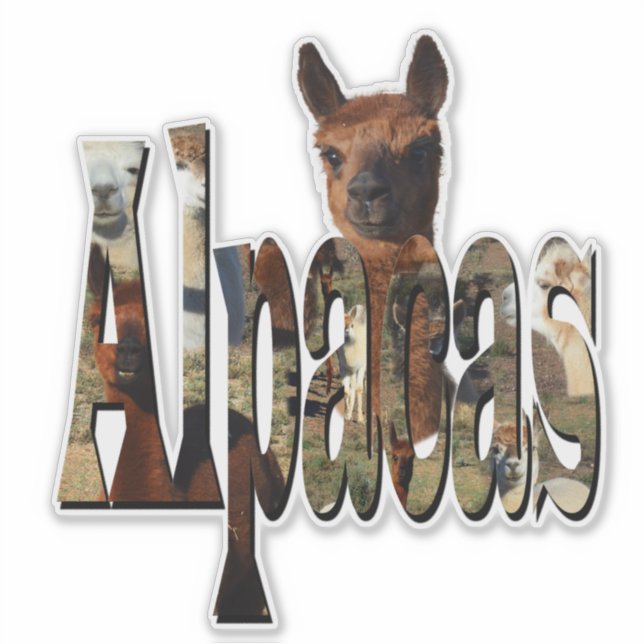 "Alpacas: Ein Furry Friend hinter dem Namen" Aufkleber (Vorderseite)