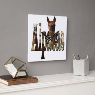 "Alpacas: Ein Furry Friend hinter dem Namen" Quadratische Wanduhr