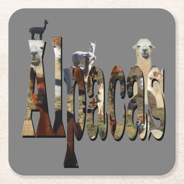 Alpacas mit Alpaca Picture Logo, Untersetzer (Vorderseite)