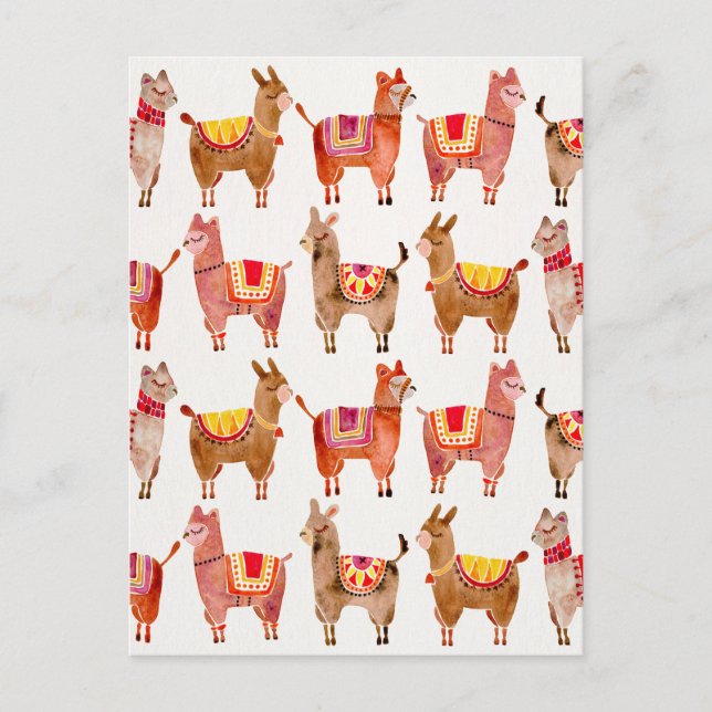 Alpacas Postkarte (Vorderseite)