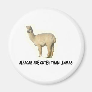 Alpacas sind niedlich als Lamas Magnet