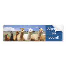 Alpaka-Autoaufkleber-Alpakas an Bord