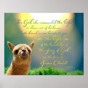 Alpaka-Goldaquamarines Bibel-Zitat-Plakat Poster