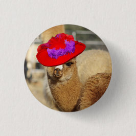Alpaka-Knopf Button