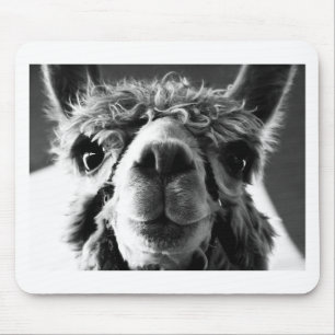 Alpaka Mousepad