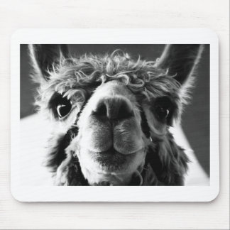 Alpaka Mousepad