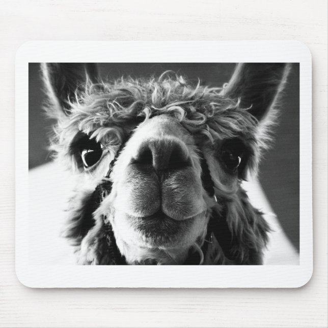 Alpaka Mousepad (Vorne)