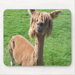 Alpaka Mousepad